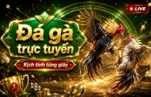 Giao diện Đá Gà Katcos